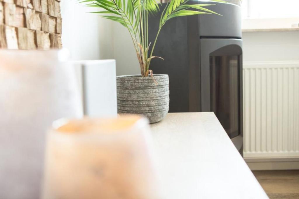 Weidevilla XXL Hollum  Esterno foto